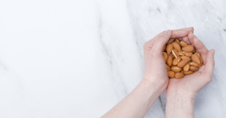 Almonds in the hand