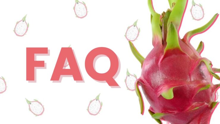 Can dragon fruit faqs