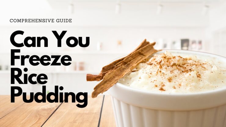 Freeze Rice Pudding Comprehensive Guide